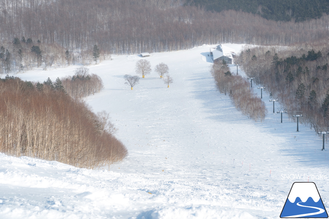 十勝サホロリゾート｜あの記録的な大雪から１週間…。ゲレンデのコンディションは、この上ないほど良好です(^^)v